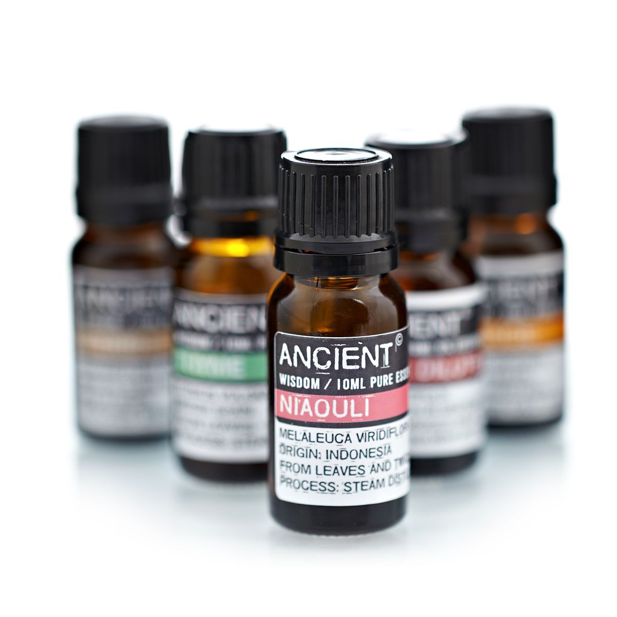 10 ml Niaouli-ätherisches Öl