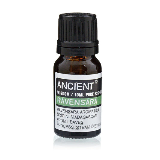 10 ml Ravensara-Ätherisches Öl