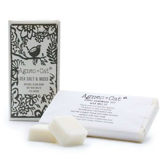 Doos met 8 Wax Melts - Zeezout + Mos