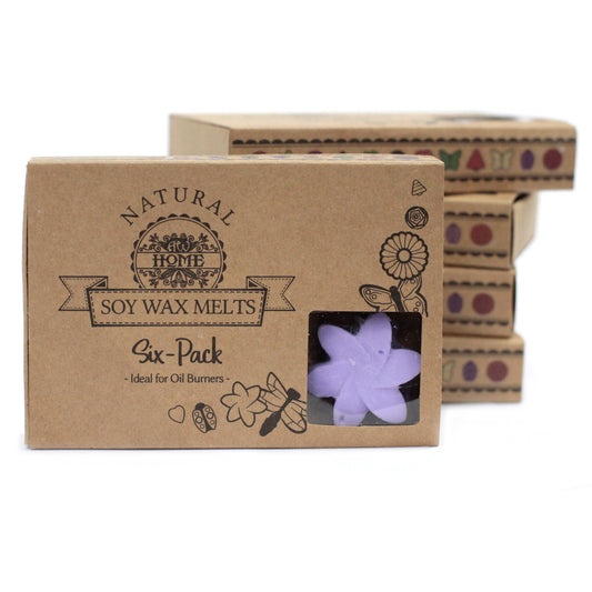 Geschenkset van 6 Wax Melts - Lavendelvelden