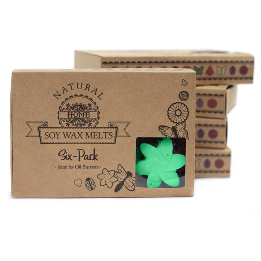 Geschenkset van 6 Wax Melts - Hidden Garden
