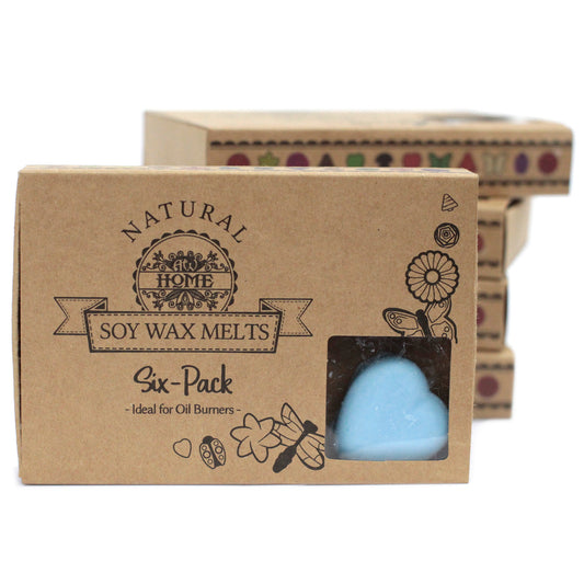 Geschenkset van 6 Wax Melts - Dauwbraam